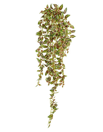 Традесканция бело-зеленая с розовым большая искусственная