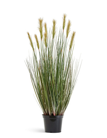 Трава Осока Элеганс искусственная Трава Осока Элеганс искусственная