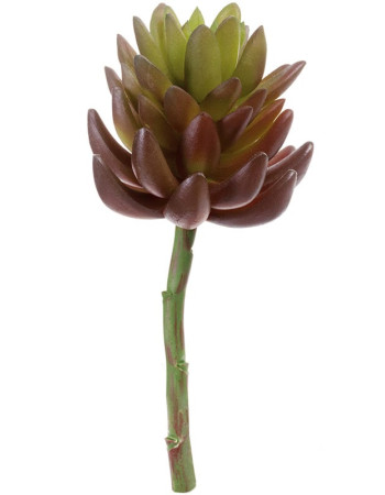 Суккулент Синокрассула зелёная большая искусственная