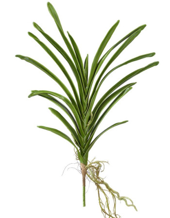 Листья Орхидеи Ванда с корнями большие искусственные Листья Орхидеи Ванда с корнями большие искусственные