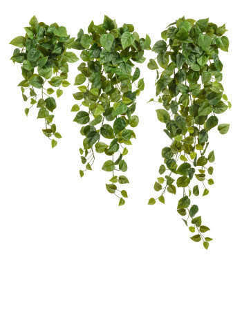 Филодендрон Сканденс ампельный большой (Sensitive Botanic) искусственный