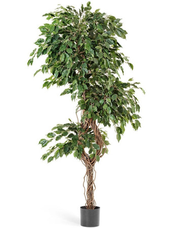 Фикус Бенджамина Селеста искусственный