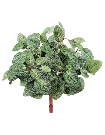 Тини-куст Фиттонния Сноу искусственная