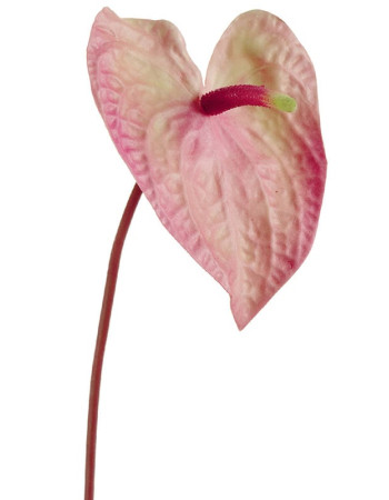 Антуриум Макс нежно-розовый с кремово-зелёным искусственный Антуриум Макс нежно-розовый с кремово-зелёным искусственный