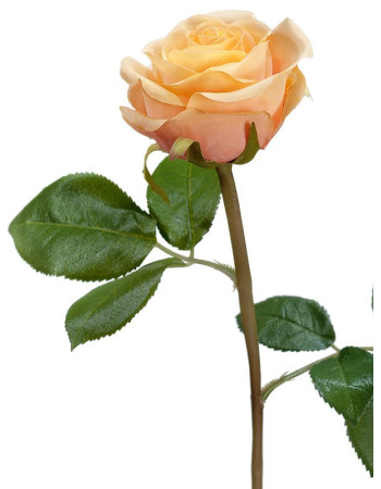 Роза Флорибунда Мидл кремово-персиковая искусственная