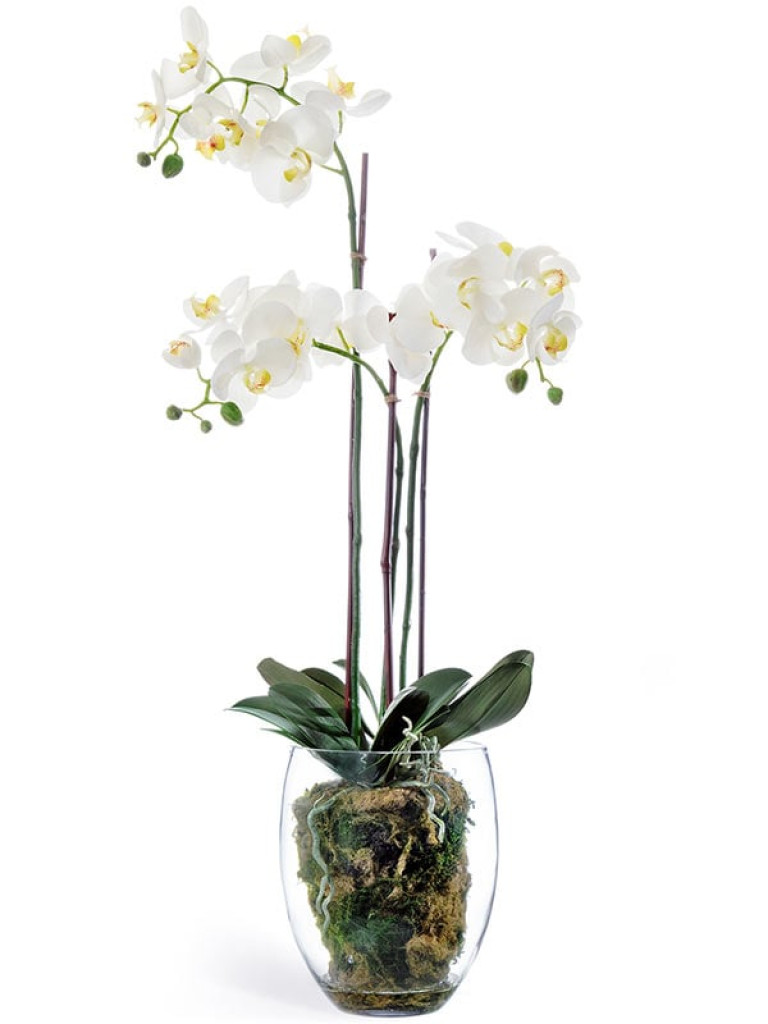 Орхидея Фаленопсис белая с землёй, корнями и мхом искусственная