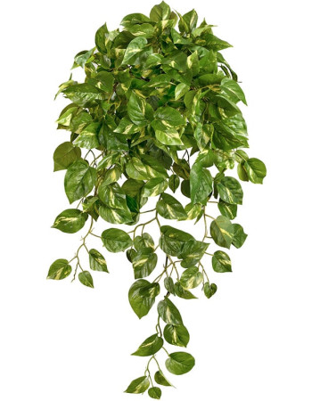 Сциндапсус золотистый (Потос) Элегант ампельный большой новый искусственный