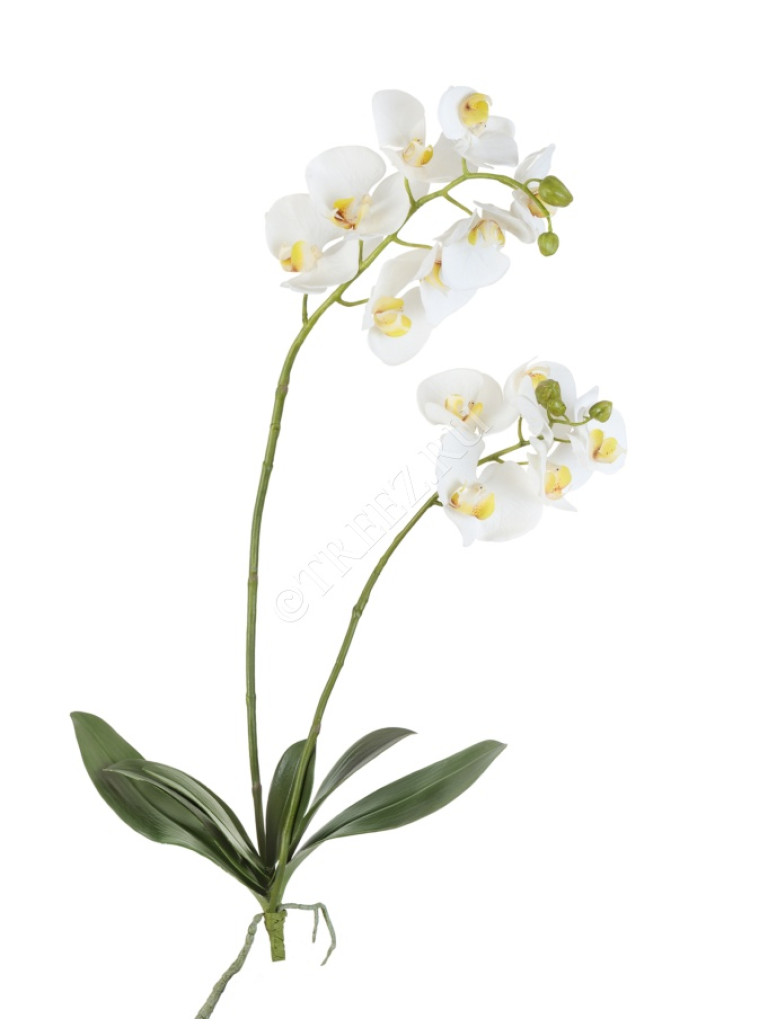Орхидея Фаленопсис (куст с корнями) белая искусственная