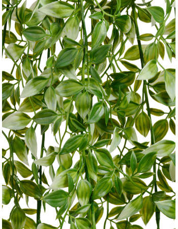 Традесканция бело-зелёная искусственная