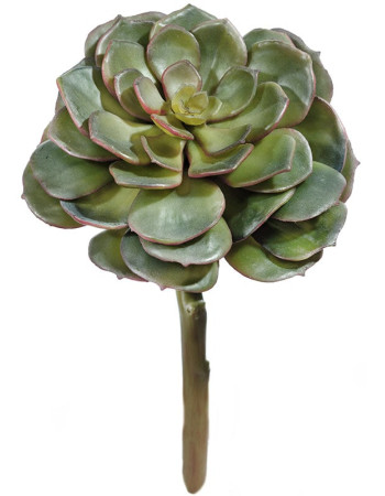 Суккулент Эхеверия розетка зелёная искусственная