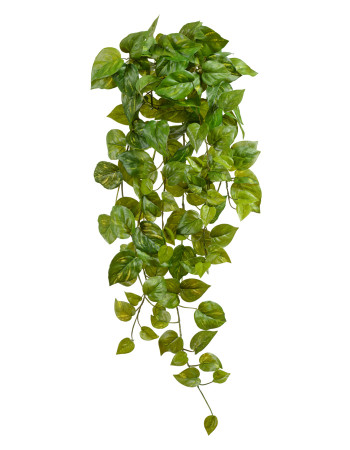 Сциндапсус золотистый (Потос Ауреум) ампельный искусственный (Sensitive Botanic)  Сциндапсус золотистый (Потос Ауреум) ампельный искусственный (Sensitive Botanic)