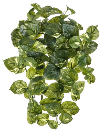 Сциндапсус золотистый (Потос) крупнолистный ампельный средний искусственный