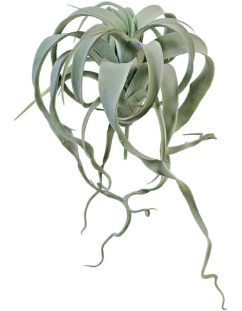 Тилландсия Ксерографика серо-зелёная с розовым припыленная искусственная