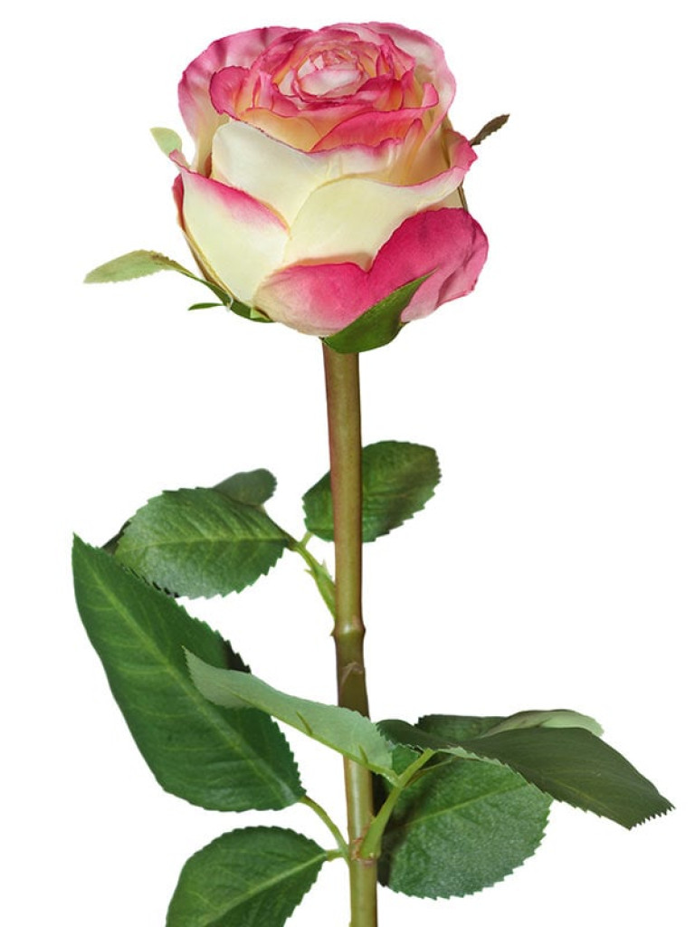 Роза Эсперанса Мидл лимонная с розовой каймой искусственная