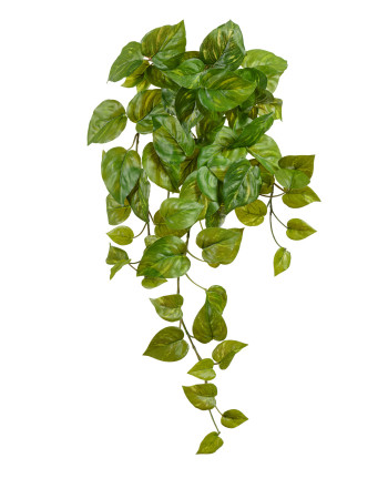 Сциндапсус золотистый (Потос Ауреум) ампельный искусственный (Sensitive Botanic)  Сциндапсус золотистый (Потос Ауреум) ампельный искусственный (Sensitive Botanic)