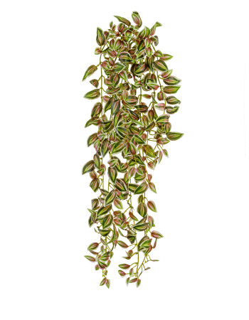 Традесканция бело-зелёная с розовым искусственная