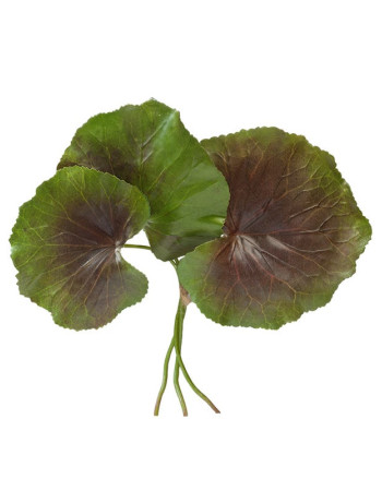 Листья Галакса зелёно-бордовые искусственные (связка 3 шт.) Листья Галакса зелёно-бордовые искусственные (связка 3 шт.)