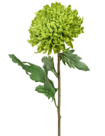 Хризантема Шамрок салатово-зелёная искусственная