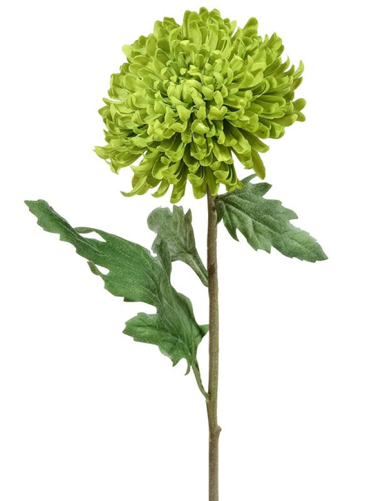Хризантема Шамрок салатово-зелёная искусственная