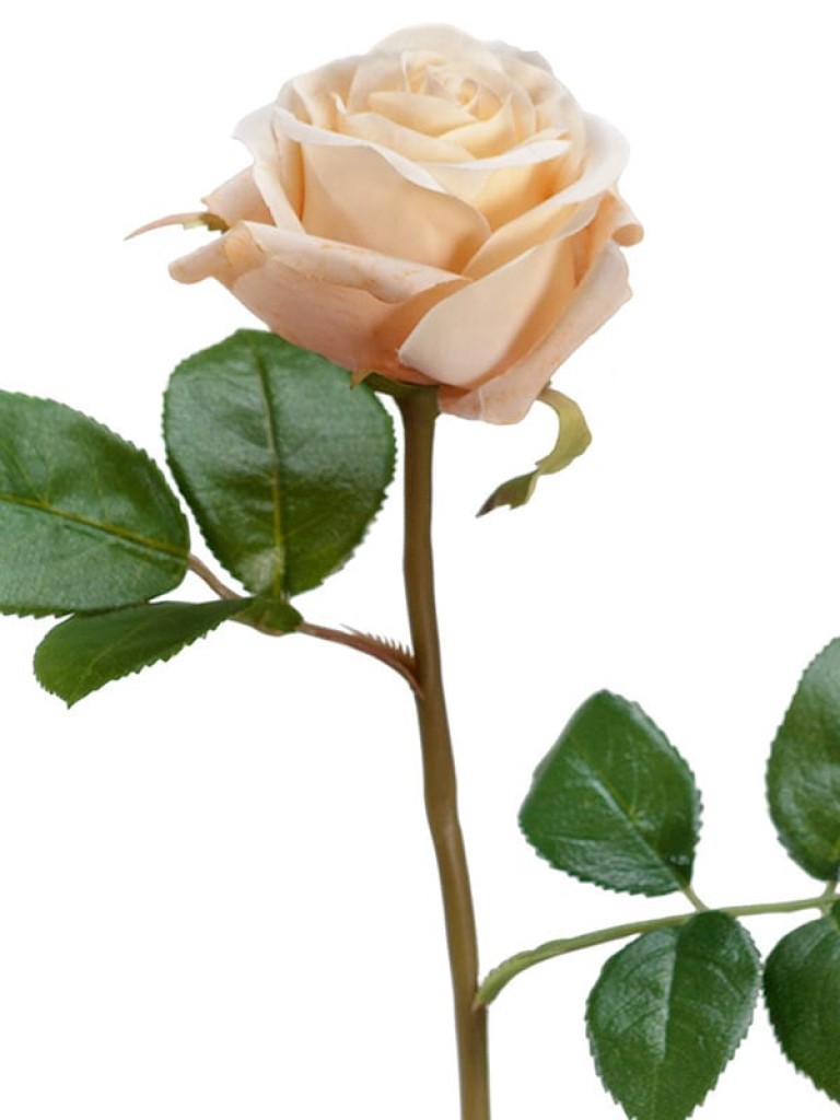 Роза Флорибунда Мидл кремовая искусственная