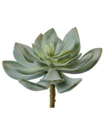 Суккулент Эхеверия Гиббифлора светло-зелёная припыленная искусственная