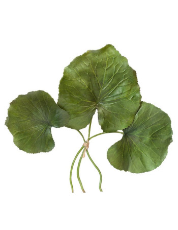 Листья Галакса зелёные  искусственные (связка 3 шт.)