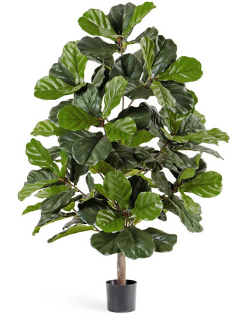 Фикус лировидный (Лирата) искусственный