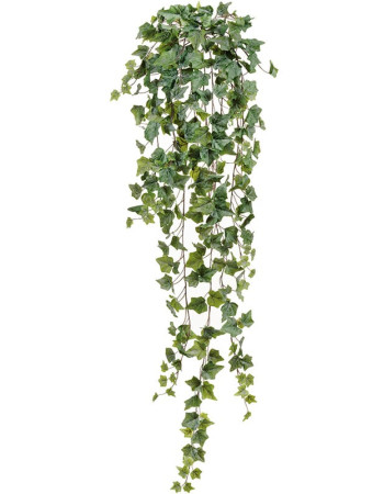 Плющ Английский Олд Тэмпл припыленно-зелёный искусственный