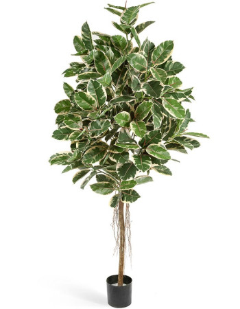 Фикус Эластика штамбовый пестролистный искусственный Фикус Эластика штамбовый пестролистный искусственный