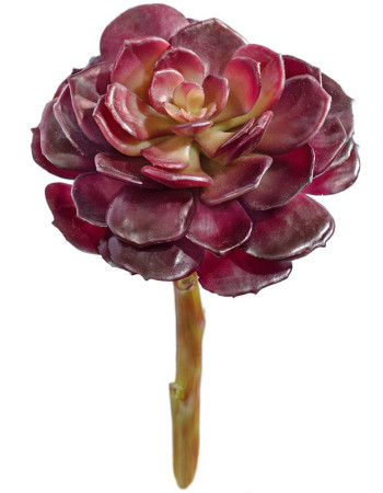 Суккулент Эхеверия розетка бордовая искусственная