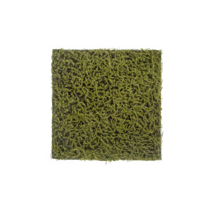 Мох Сфагнум Fuscum оливково-зелёный искусственный