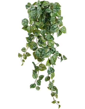 Сциндапсус Пиктус серебристо-зелёный искусственный