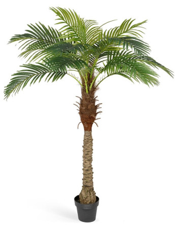 Пальма Финиковая Новая искусственная