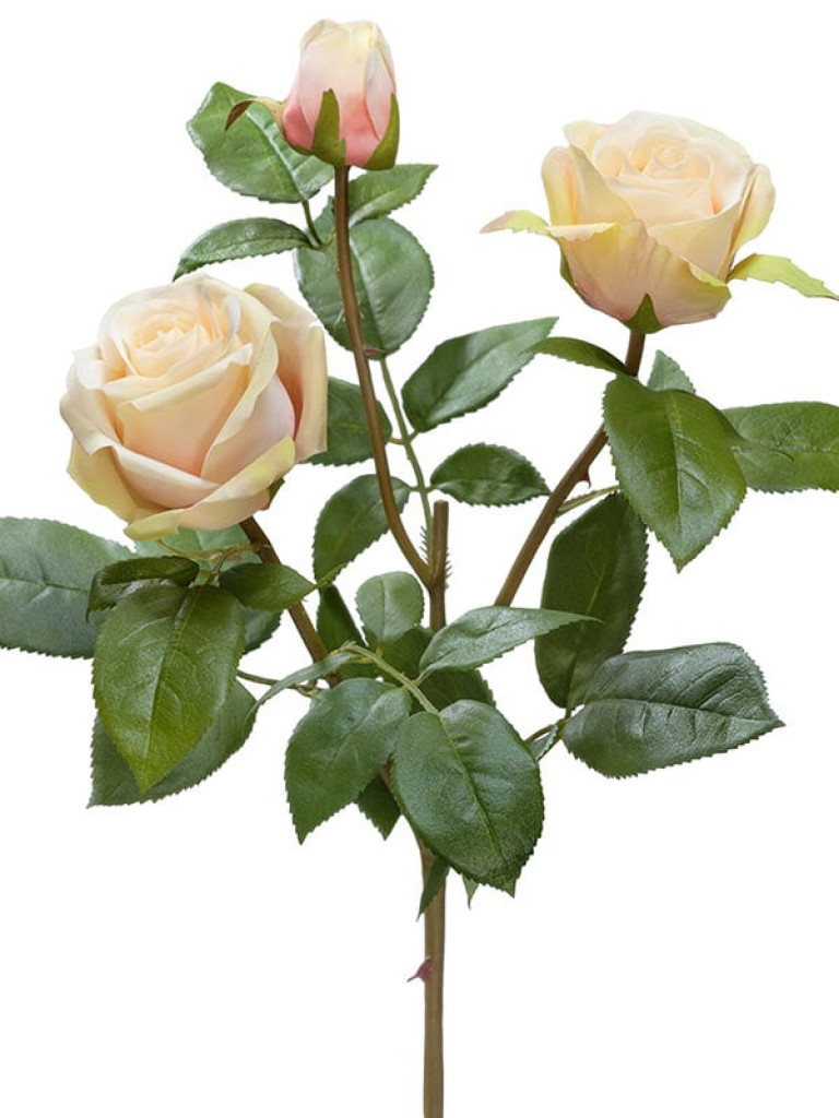 Роза Флорибунда кустовая (ветвь Мидл) кремово-лаймовая искусственная