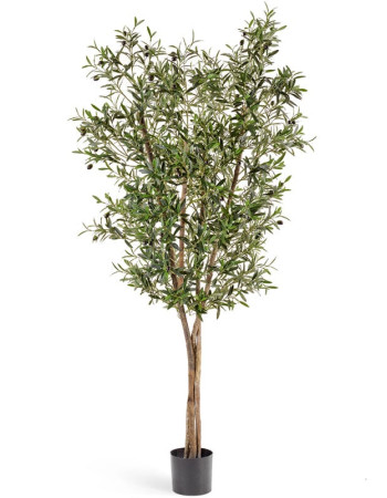 Олива натуральная с плодами искусственная