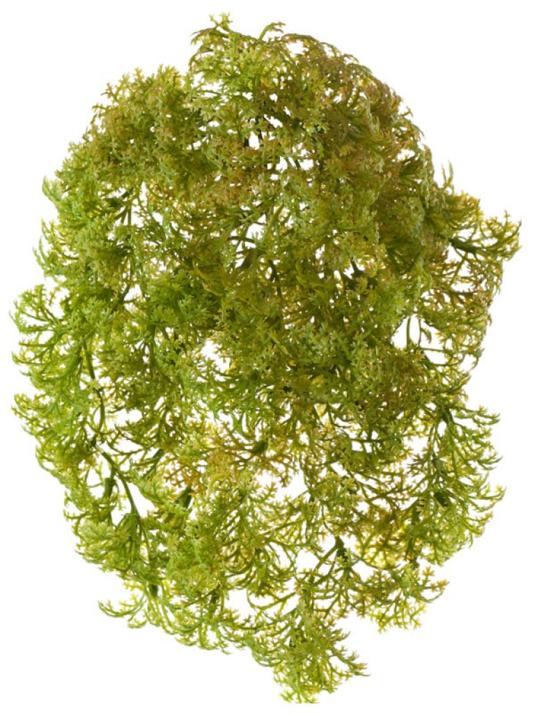 Рясковый мох (Вотер-грасс) куст светло-зелёный с коричневым искусственный