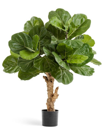 Фикус лировидный (Лирата) Форест искусственный