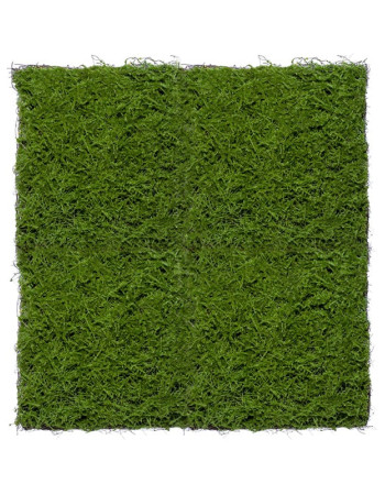 Мох Сфагнум искусственный (полотно) Мох Сфагнум искусственный (полотно)