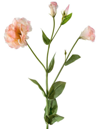 Эустома Махровая розово-жёлтая искусственная