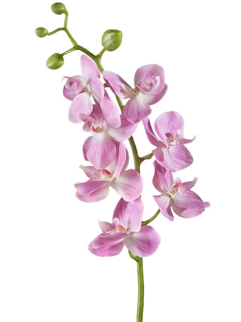 Орхидея Фаленопсис (ветвь) Элегант розово-белая искусственная