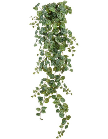 Сциндапсус Пиктус серебристо-зелёный искусственный