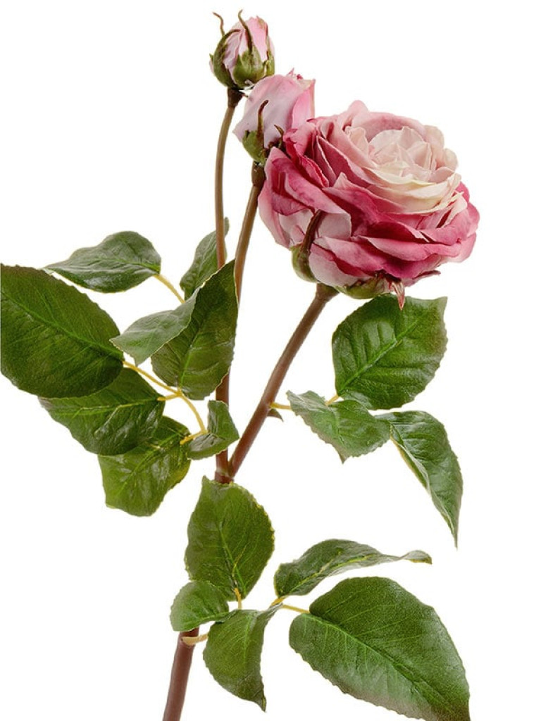 Роза Дэвид Остин (ветвь Мидл) пудрово-розово-малиновая искусственная