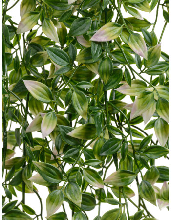 Традесканция зелёная с розовым ампельная искусственная