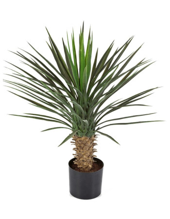 Юкка Рострата куст искусственная