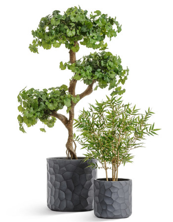 Комплект искусственных растений в кашпо Treez №114