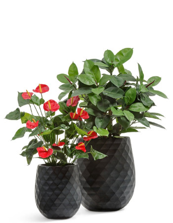 Комплект искусственных растений в кашпо Treez №116 Комплект искусственных растений в кашпо Treez №116