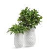 Комплект искусственных растений в кашпо Treez №118