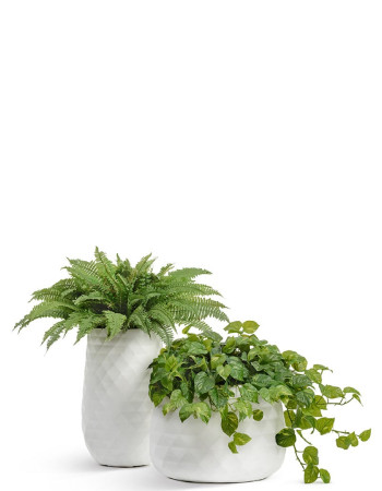 Комплект искусственных растений в кашпо Treez №121