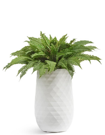 Комплект искусственных растений в кашпо Treez №120 Комплект искусственных растений в кашпо Treez №120