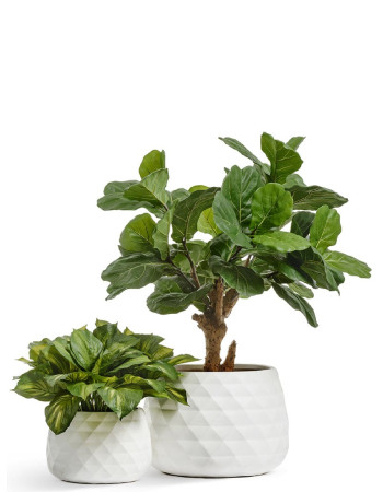 Комплект искусственных растений в кашпо Treez №119